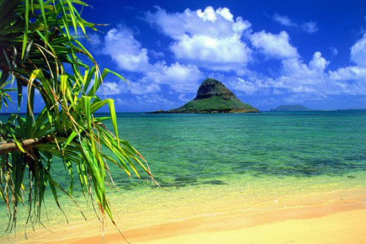 Vivere e lavorare alle Hawaii, Honolulu Vivere e lavorare alle Hawaii, Honolulu